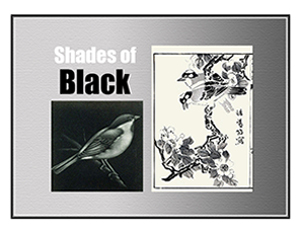 Shades of Black Exhibition